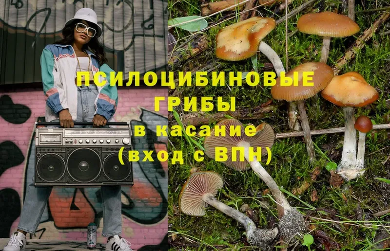 Галлюциногенные грибы Magic Shrooms  Абаза 